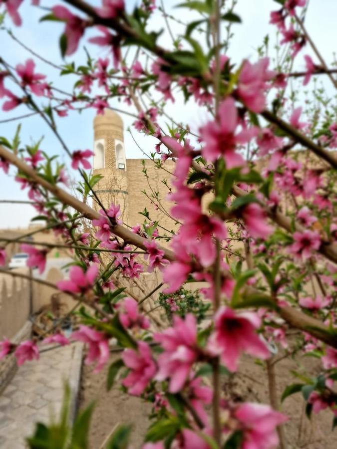 Guest House Khiva Boyjon Ota Eksteriør billede